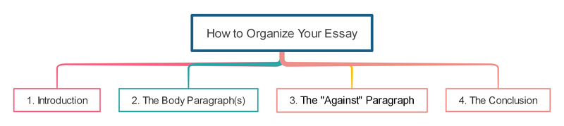 How to Organize Your Persuasive Essay